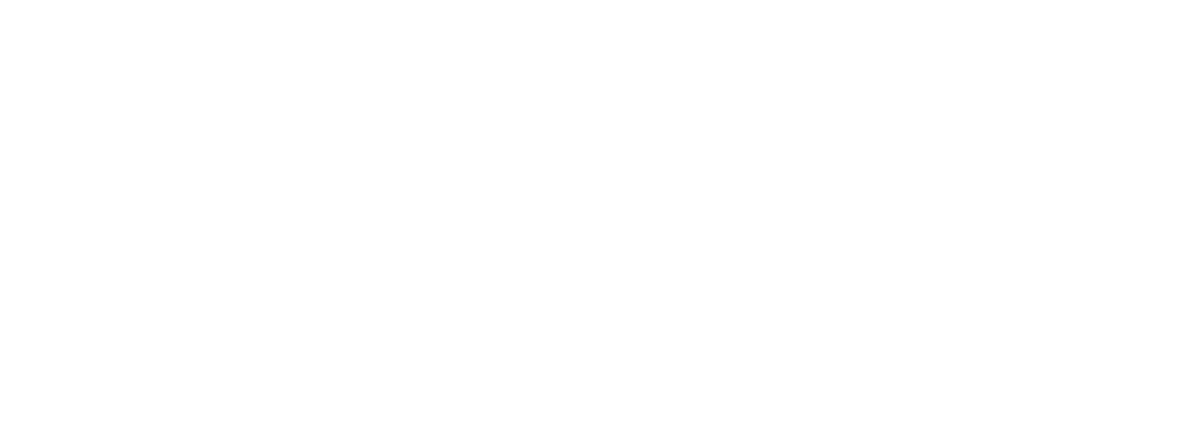 Elite Professional Driver Training white logo